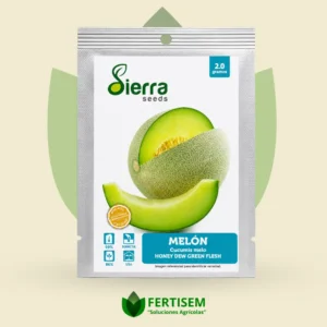 melon 1